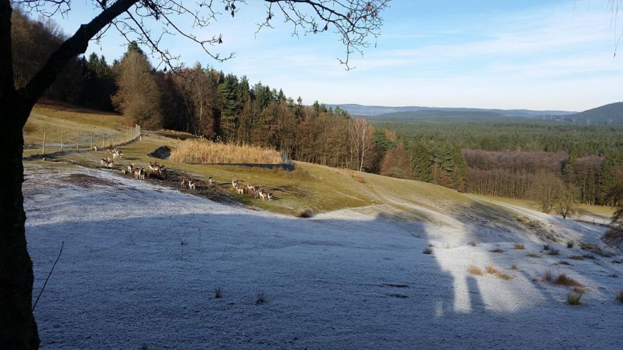 Ferienhaeuser Zur Schaeferei Mitwitz Exterior photo